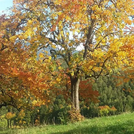 Сasa de vacaciones Holzer *
