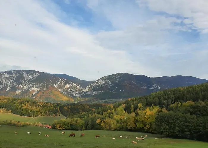 Holzer Holiday home *