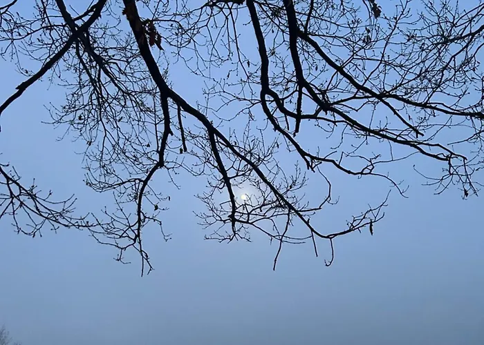 Nyaraló Holzer Payerbach