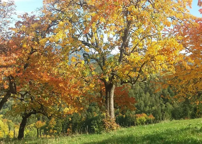 Holiday home Holzer *